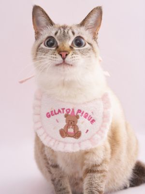 ＜gelato pique (Women)＞【ＣＡＴ＆ＤＯＧ】【Ｂｉｒｔｈｄａｙ】スムーズィーバースデースタイ