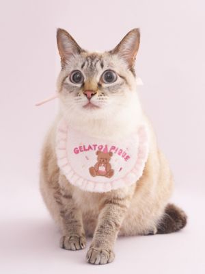 CAT＆DOG】【Birthday】スムーズィーバースデースタイ