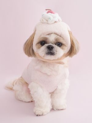 ＜gelato pique (Women)＞【ＣＡＴ＆ＤＯＧ】【Ｂｉｒｔｈｄａｙ】カップケーキハット