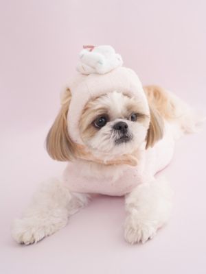 CAT＆DOG】【Birthday】カップケーキハット | gelato