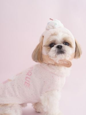 CAT＆DOG】【Birthday】カップケーキハット | gelato