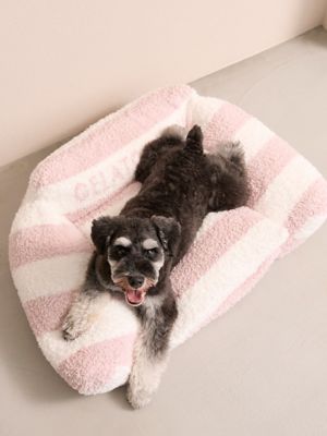 ＜gelato pique (Women)＞【ＣＡＴ＆ＤＯＧ】ジェラートソファ型ベッドＬ