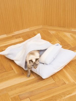 CAT＆DOG】ベビモコおふとんセットL | gelato pique (Women