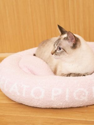 CAT＆DOG】ベビモコベッドM | gelato pique (Women)/ジェラート