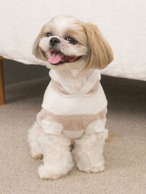 gelato pique (Women)/ジェラート ピケ【CAT & DOG】スムーズィー2ボーダーフーディー BEG ペット用品【三越伊勢丹/公式】