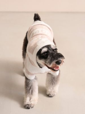 CAT＆DOG】スムーズィーXLサイズ2ボーダーフーディー