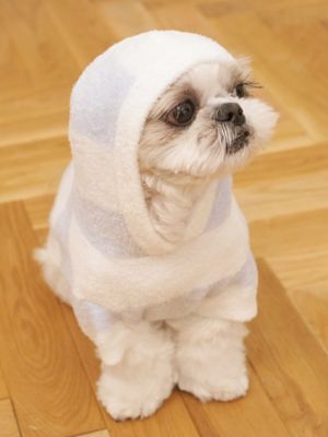 こーでぃページ　26.5㎝ デニム調ジャージー グルカパンツ(ベビーサイズ)（23-45PG01-204