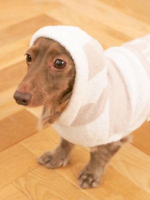 【新品未使用】ジェラートピケ スムーズィーボーダーセット CAT&DOG】スムーズィー2ボーダーブランケット(グッズ)｜ルーム