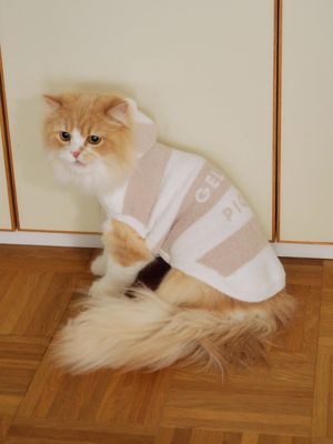 gelato pique (Women)/ジェラート ピケ【CAT & DOG】スムーズィーダックスサイズ2ボーダーフーディー BEG ペット用品【三越伊勢丹/公式】