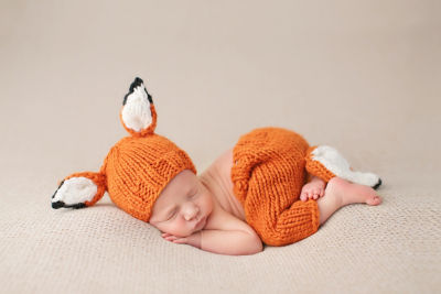＜THE BLUEBERRY HILL (Baby&Kids)＞ニューボーンセット”Ｒｕｓｔｙ”　Ｆｏｘ