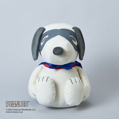 MIZUNO/ミズノ スヌーピーメディシンボール　ウェアグラースィズ