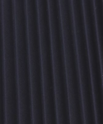 ＢＯＵＲＲＩＥＮＮＥ　　Ｔ／Ｃ　ＴＷＩＬＬ　ＳＫ／　ＥＮ　１６８５１３０１１３
