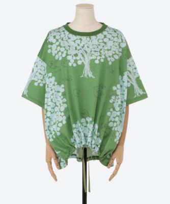ｂｉｇ　ｔｒｅｅ　ストリングＴｅｅ