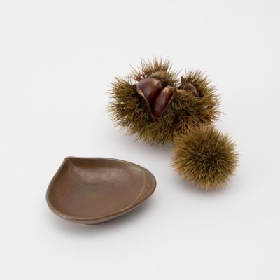 Ｂｅａｒ　Ｆｒｕｉｔ　４枚セット