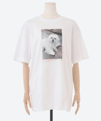 ｄｏｇ　ｐｈｏｔｏ　Ｓ／Ｓ　ＴＥＥ　０１ＦＭ００３１４５