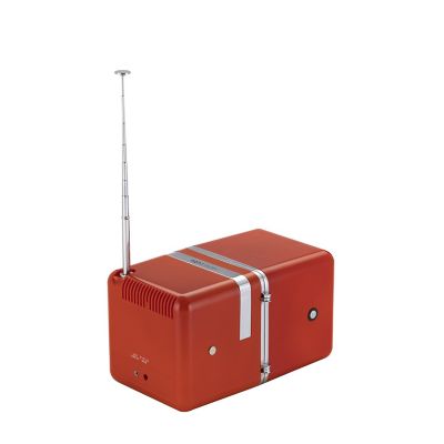 ＢＲＩＯＮＶＥＧＡ　ｒａｄｉｏ．ｃｕｂｏ　Ｏｒａｎｇｅ　Ｓｕｎ