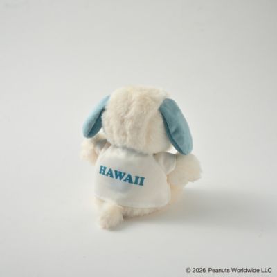 JOE SURFER DOLL | SNOOPY'S SURF SHOP/スヌーピーズ