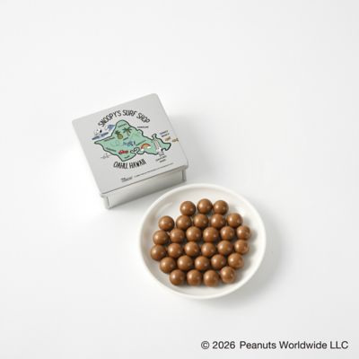 OAHU MAP CHOCOLATE | SNOOPY'S SURF SHOP/スヌーピー