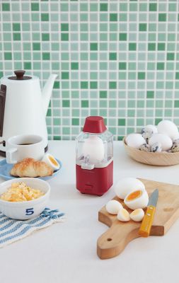 Ｅｇｇ　Ｓｔｅａｍｅｒ（エッグスチーマー）