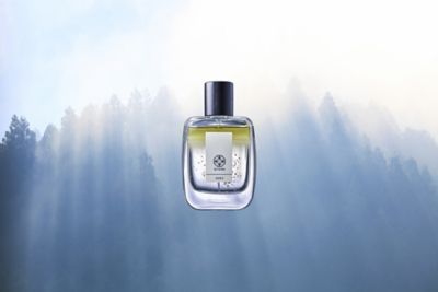 オー・エクロジオン５０ｍｌ　スギ