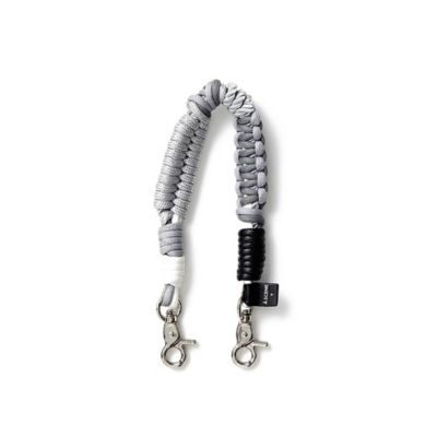 Ｄｅｓｉｇｎ　ｐａｒａｃｏｒｄ　ｓｔｒａｐ