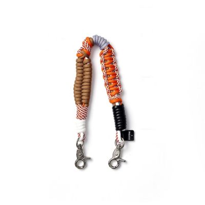 Ｄｅｓｉｇｎ　ｐａｒａｃｏｒｄ　ｓｔｒａｐ