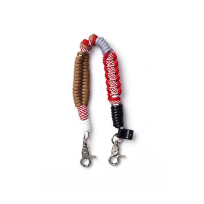 Ｄｅｓｉｇｎ　ｐａｒａｃｏｒｄ　ｓｔｒａｐ