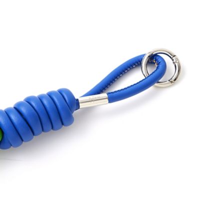 ｃｏｉｌ　ｓｔｒａｐ