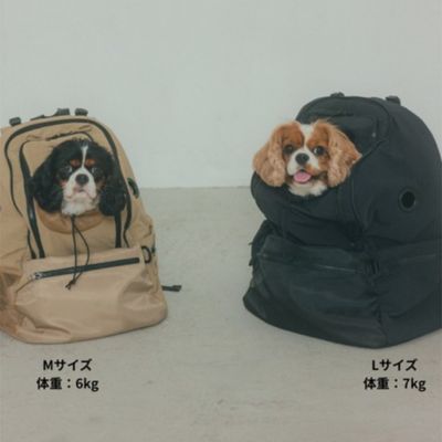 MATIE ペットリュック M | Paddy by WAFONA/パディ バイ