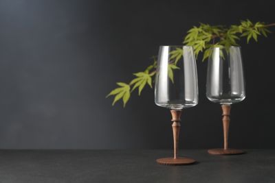 ZWIESEL＞×＜MOKUグラス＞ワイングラス | ZWIESEL GLAS