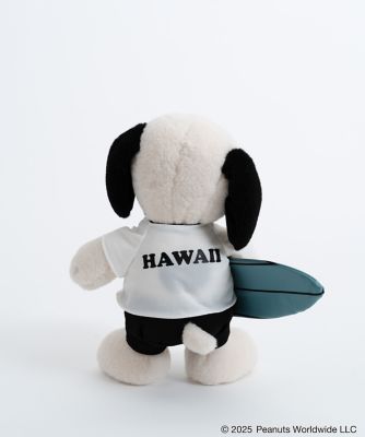 ＳＮ　ＪＣ　ｂｏａ　ｐｌｕｓｈ