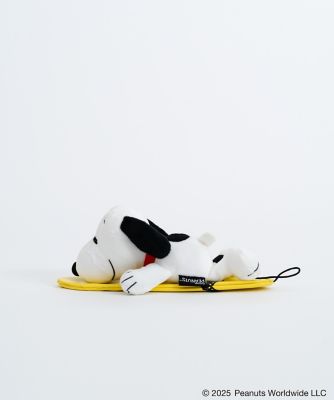 ＳＮ　ＤＯＬＬ　ＰＡＤＤＬＥ