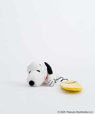 ＳＮ　ＤＯＬＬ　ＰＡＤＤＬＥ