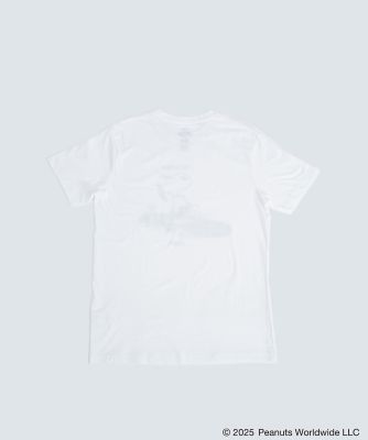ＲＩＤＥ　ＴＨＥ　ＷＡＶＥ　ＳＮ　Ｔ