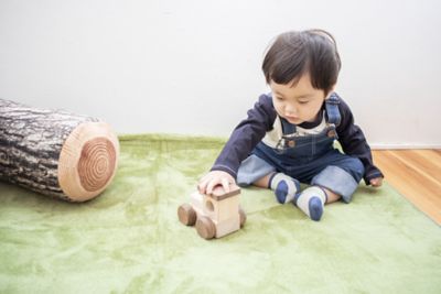 オルゴールトレイン