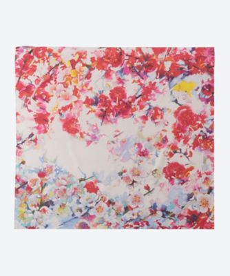 ＜MACOOL (Women)＞ＵＭＥ　６５＊６５