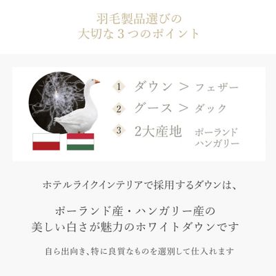 ８００ＦＰポーランド産ホワイトマザーグースダウン／羽毛合掛ふとん／春秋用
