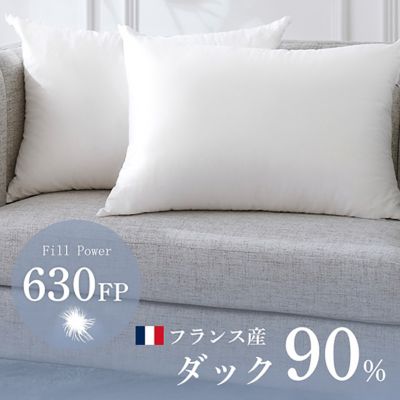 HOTEL LIKE INTERIOR/ホテルライクインテリア ６３０ＦＰフランス産ダウンピロー