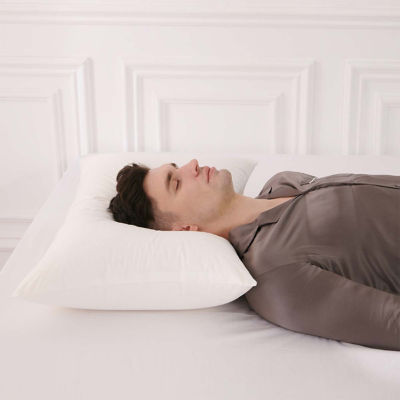 ダウンとフェザーブレンドピロー 楽天市場】ダウンとフェザーブレンドピロー ニトリ メーカー直送