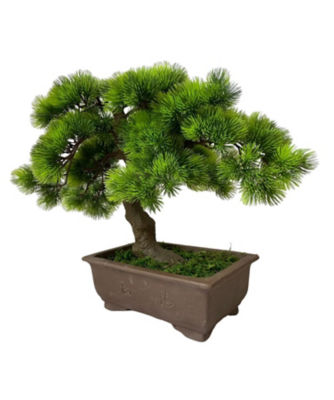 ISETAN伊勢丹購入 ART CRAFT BONSAI(黒) 壁掛盆栽アート 5920円引き