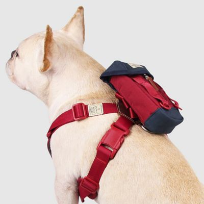 ＜ＳＰＵＴＮＩＫ＞Ｃｌｅａｎ　ｂａｇ