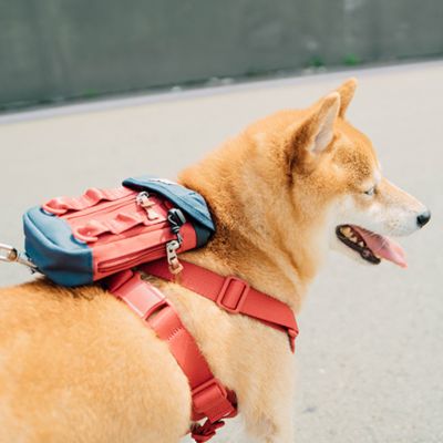 ＜ＳＰＵＴＮＩＫ＞Ｃｌｅａｎ　ｂａｇ