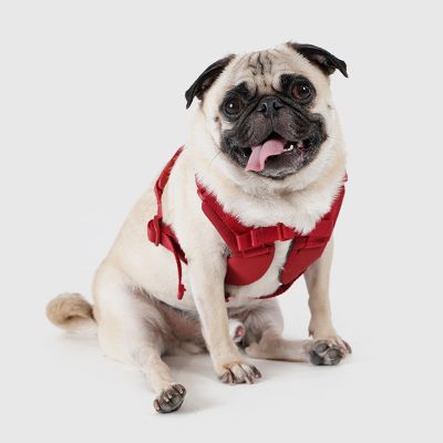 Paddy by WAFONA/パディ バイ ワフォナ ＜ＳＰＵＴＮＩＫ＞Ｈａｒｎｅｓｓ（Ｒｅｄ）