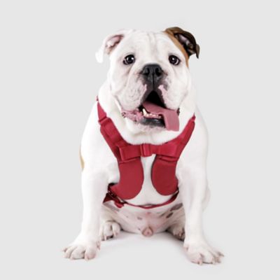 ＜ＳＰＵＴＮＩＫ＞Ｈａｒｎｅｓｓ（Ｒｅｄ）