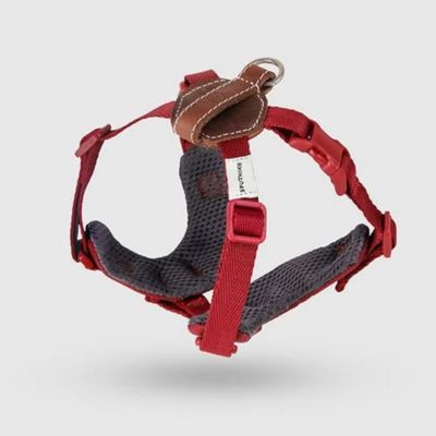 ＜ＳＰＵＴＮＩＫ＞Ｈａｒｎｅｓｓ（Ｒｅｄ）