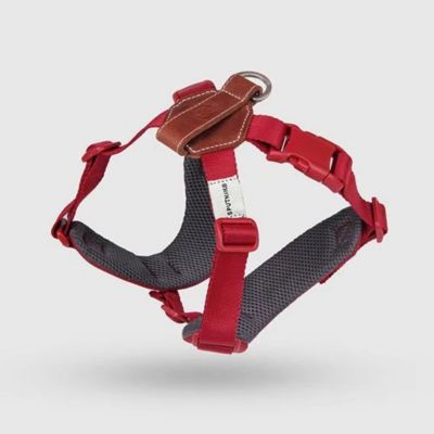 ＜ＳＰＵＴＮＩＫ＞Ｈａｒｎｅｓｓ（Ｒｅｄ）