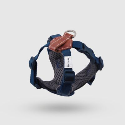 ＜ＳＰＵＴＮＩＫ＞Ｈａｒｎｅｓｓ（Ｂｌｕｅ）