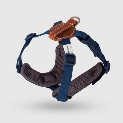 ＜ＳＰＵＴＮＩＫ＞Ｈａｒｎｅｓｓ（Ｂｌｕｅ）