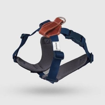 ＜ＳＰＵＴＮＩＫ＞Ｈａｒｎｅｓｓ（Ｂｌｕｅ）