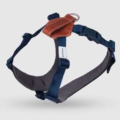 ＜ＳＰＵＴＮＩＫ＞Ｈａｒｎｅｓｓ（Ｂｌｕｅ）